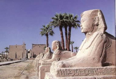 Аллея сфинксов и виднеющийся на заднем плане пилон храма Амона в Луксоре. Новое царство