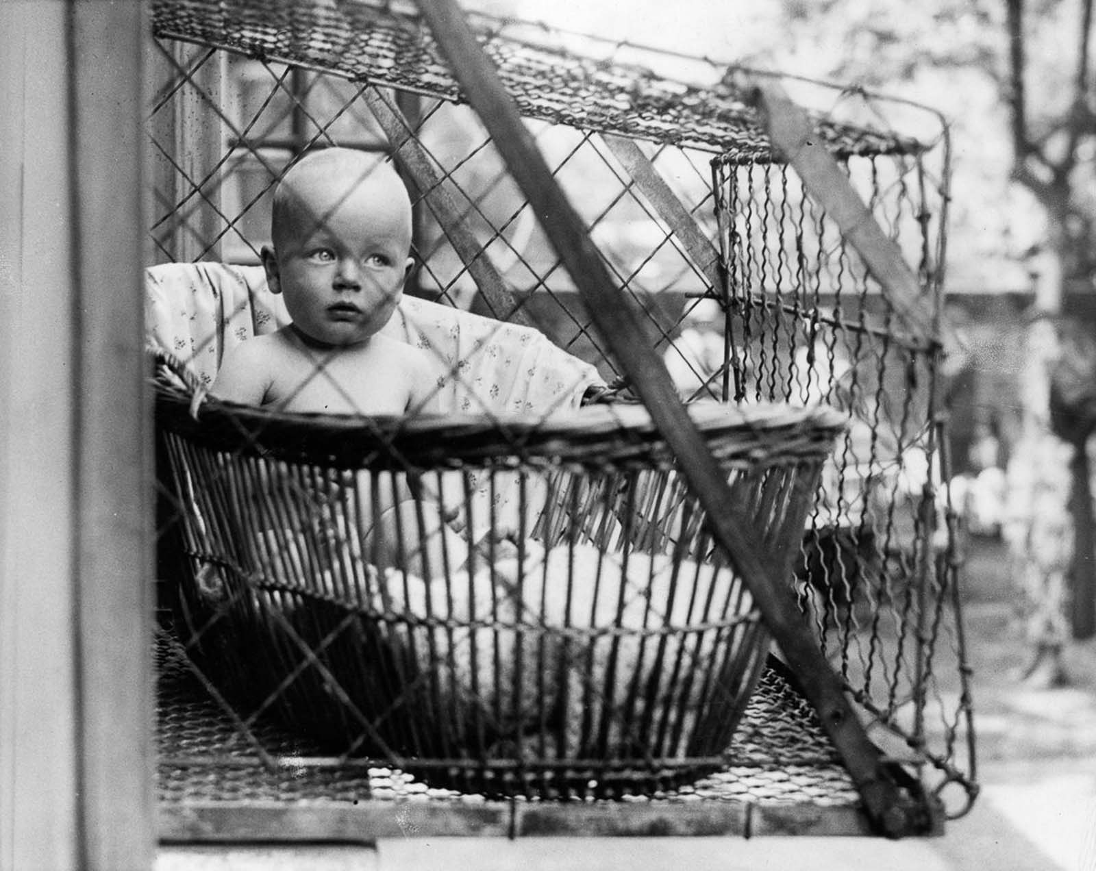 Фото младенца в клетке 1936 года: